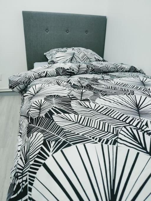 # Appartement Charmant 75 M2 Parking Gratuit Obernai Eksteriør bilde